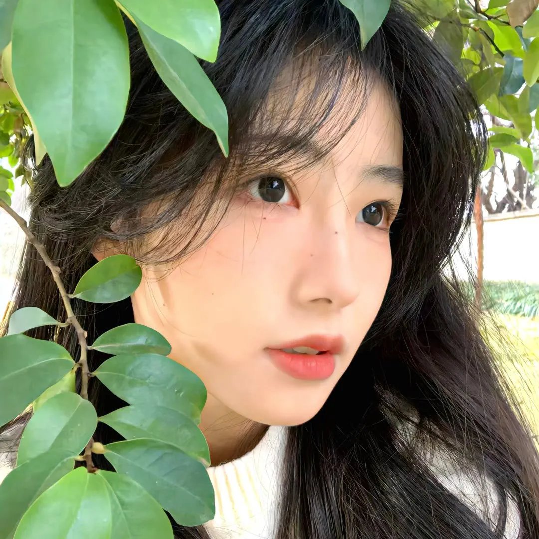 桃花灿烂